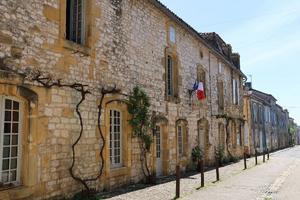 Lutte contre les nuisibles Rueil-Malmaison