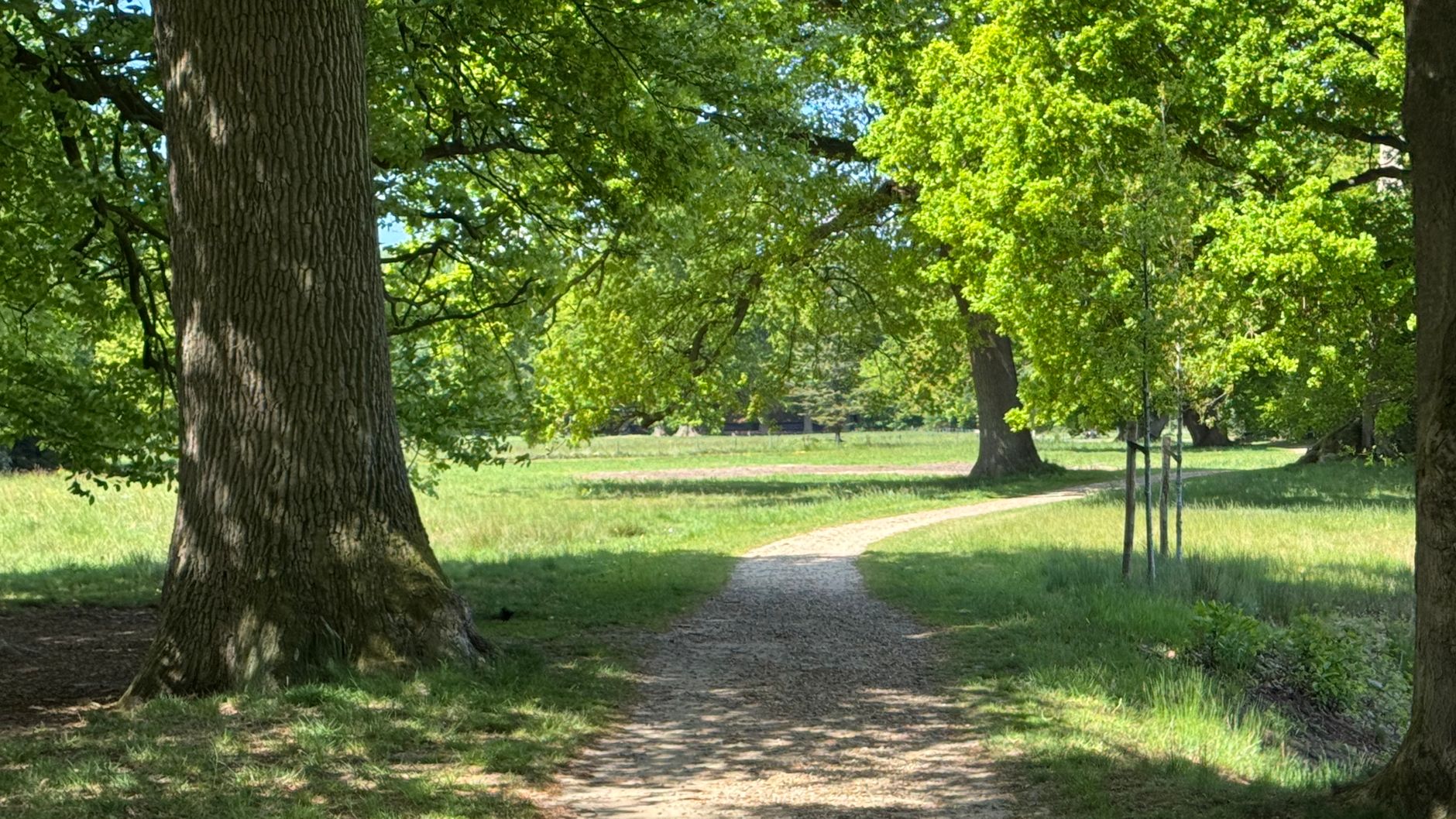 Lutte contre les nuisibles à Rueil-Malmaison